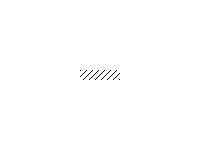 指導老師：邱小云